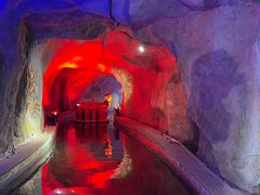 -南宫五洲植物乐园