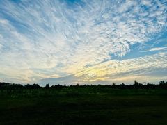 -白鹭湾湿地公园