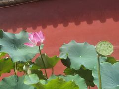 -建水文庙