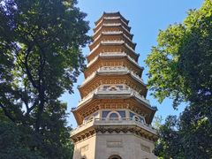 -灵谷景区