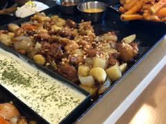 -DM CHICKEN 分米鸡