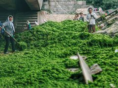 -日照灯塔风景区