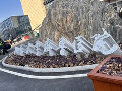 -山东大学齐鲁医院(青岛院区)