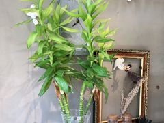 -HIGH FIVE哈福手工汉堡(桂林路店)