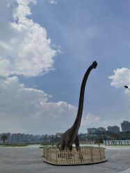 点击看大图 -恐龙探索乐园(磁器口店)