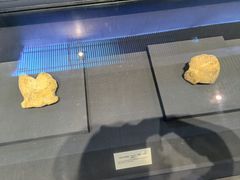 -北京周口店北京人遗址博物馆