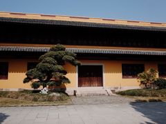 -江心屿景区