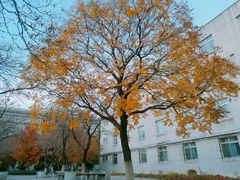 -东北大学(南湖校区)