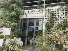 -六出私塾LiuChu•成人美术书法系统课程专业画室(熊婆婆的花园店)