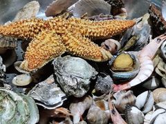 -永红源啤酒·烧烤·海鲜·大排档(青特城店)