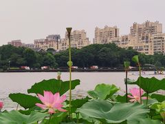 -南翔镇银翔湖公园