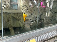 -柳州市动物园
