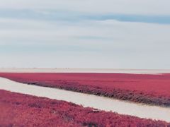 -红海滩国家风景廊道
