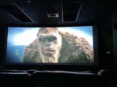 -大光明丽星VIP影城(昌里路杜比全景声店)