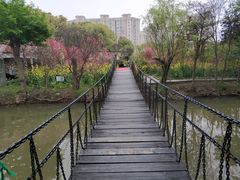 -南汇桃花村