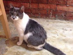 iphone_upload_pic-MIKAKU(万达广场上海宝山店)