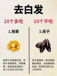 -Bollins波林丝•专研护发中心