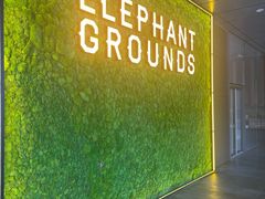 -大象园ELEPHANT GROUNDS(万象天地店)
