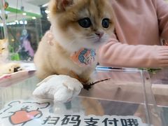 -万达广场(北京槐房店)