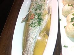 清蒸太湖白鱼-金枝玉叶上海人家食府(三里河店)