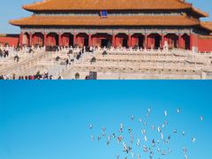 -故宫博物院(故宫)