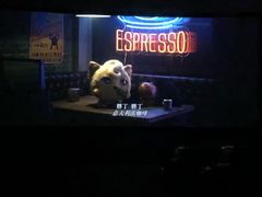 -枫花园汽车电影院(朝阳公园店)