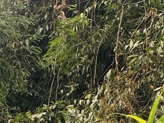 -西岭雪山大飞水景区