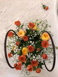 -大美臻喜母婴(重庆创始店)