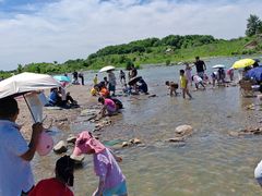 -绿堤公园