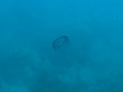 -亚龙湾海底世界