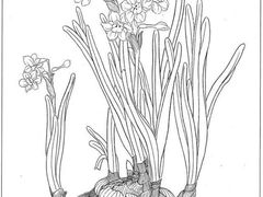 -东方童画少儿美术(莘庄体验馆)