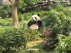 -石排湾郊野公园