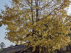 -两江国际影视城