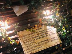 -安贞汤泉(安贞桥店)