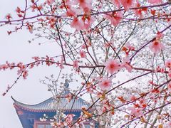 -堤角公园