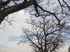 -无锡梅园公园