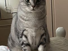 -宠颐生中康贝怡动物医院