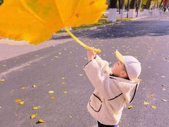 -哈尔滨文化公园