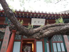 -莲池书院博物馆
