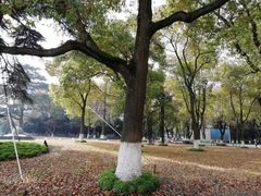 -上海大学(嘉定校区)