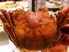 -欣旺·迎宾楼·百年无锡菜