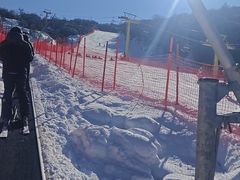 -太子岭滑雪场
