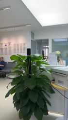 -清清博视儿童眼视光中心(角门西店)
