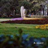 街头随拍｜华山绿地｜闹市区里的街心公园