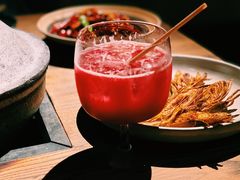 -毛辣果·酸(OHA复兴西路店)