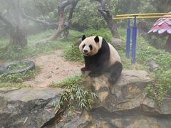 -广州长隆野生动物世界