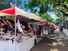 -布里斯班南岸公园