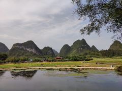 -靖西鹅泉风景区