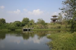 -水八仙生态园
