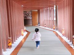 -重庆南山海昌汤都